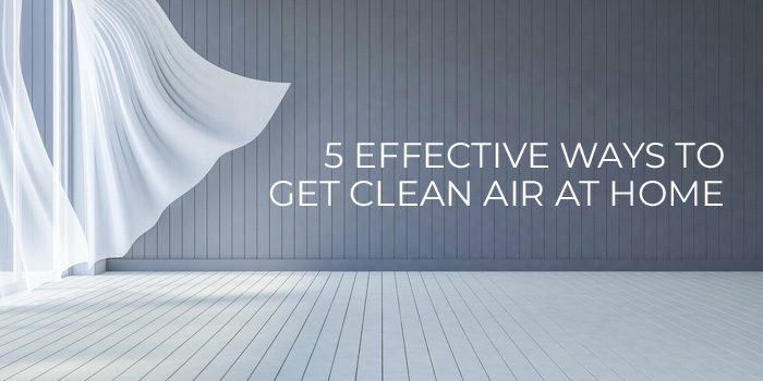 Effective Ways To Get Clean Air At Home