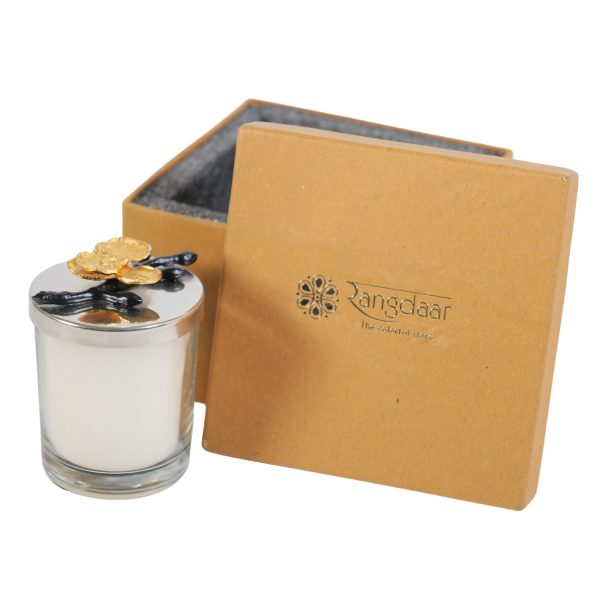 Glass soy candle -1